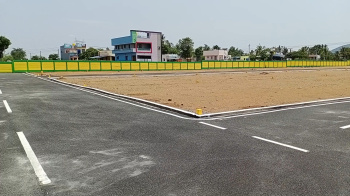 Residential Plot for Sale in Papparapatti, Dharmapuri