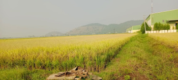  Agricultural Land for Sale in Gannavaram, Vijayawada