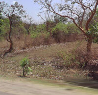  Commercial Land for Sale in Bokaro Steel City