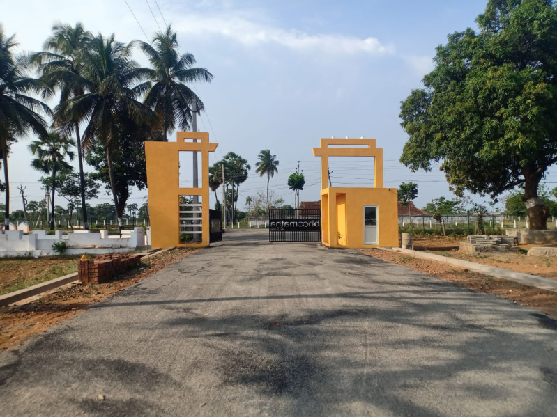  Residential Plot 200 Sq. Yards for Sale in Tagarapuvalasa, Visakhapatnam