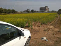  Agricultural Land for Sale in Neemrana, Alwar