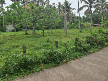  Residential Plot for Sale in Muthukulam, Alappuzha