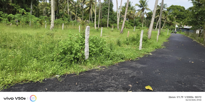  Residential Plot 42 Cent for Sale in Muthukulam, Alappuzha