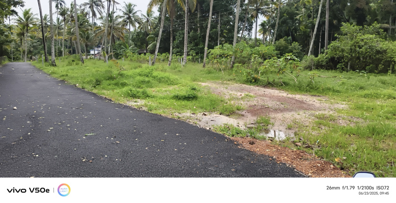  Residential Plot 42 Cent for Sale in Muthukulam, Alappuzha