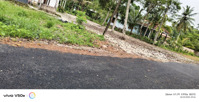  Residential Plot 150 Cent for Sale in Anayara, Alappuzha