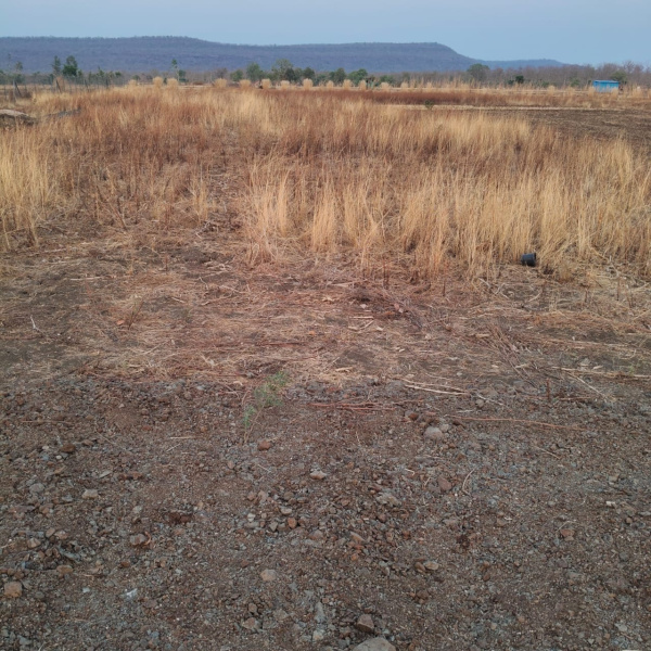  2 Acre Agricultural/Farm Land for Sale in Anwali Kheda, Sehore