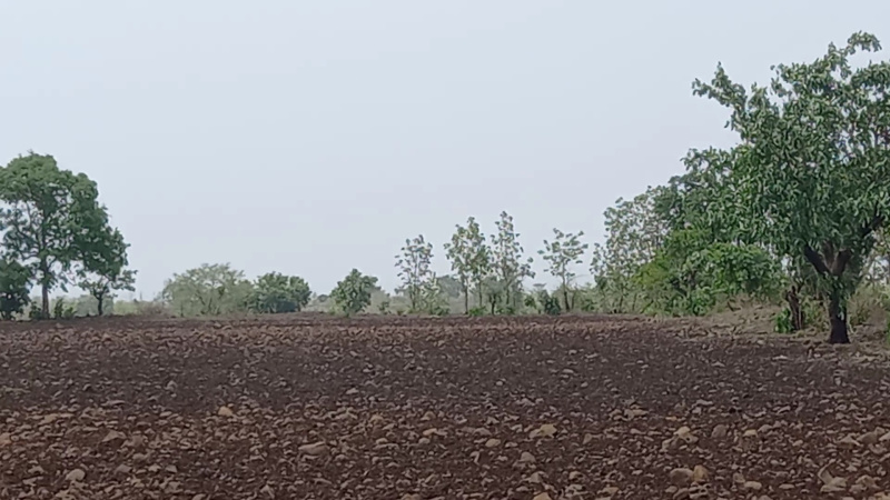 Agricultural Land 240000 Acre for Sale in Wani, Yavatmal