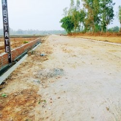  Residential Plot 765 Sq.ft. for Sale in Indari, Nuh