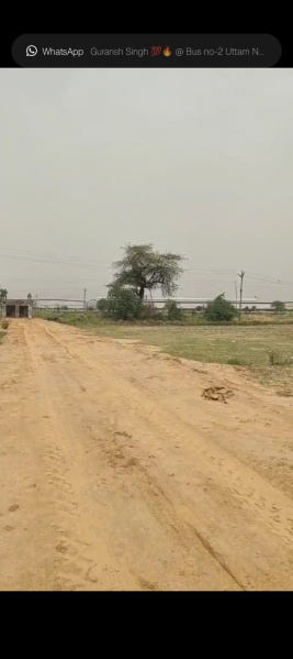  Residential Plot 900 Sq.ft. for Sale in Pataudi, Gurgaon