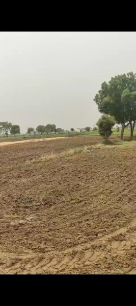  Residential Plot 900 Sq.ft. for Sale in Pataudi, Gurgaon