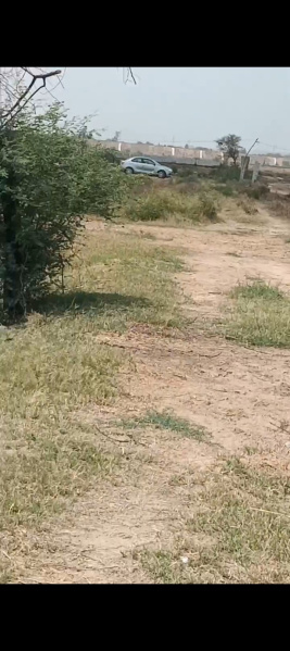  Residential Plot 900 Sq.ft. for Sale in Indari, Nuh