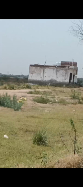  Residential Plot 900 Sq.ft. for Sale in Surakhpur, Najafgarh, Delhi