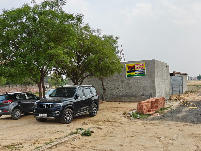  Residential Plot 450 Sq.ft. for Sale in Surakhpur, Najafgarh, Delhi