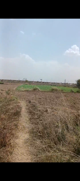 900 Sq.ft. Residential Plot for Sale in Khatu, Sikar