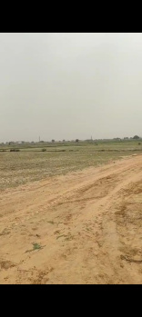 Residential Plot for Sale in Sector 99 Gurgaon