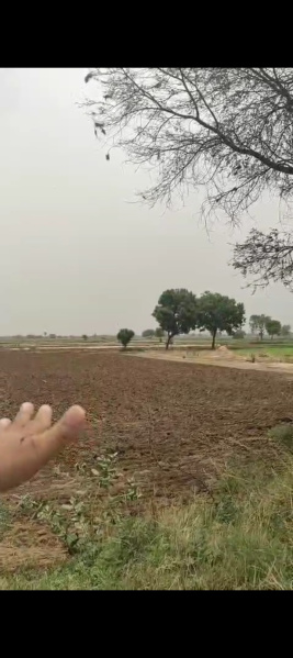  Residential Plot 900 Sq.ft. for Sale in Surakhpur, Najafgarh, Delhi