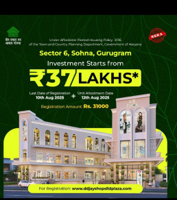  Commercial Shop 300 Sq.ft. for Sale in Sohna, Gurgaon