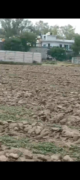  Residential Plot 100 Sq. Yards for Sale in Kair, Najafgarh, Delhi