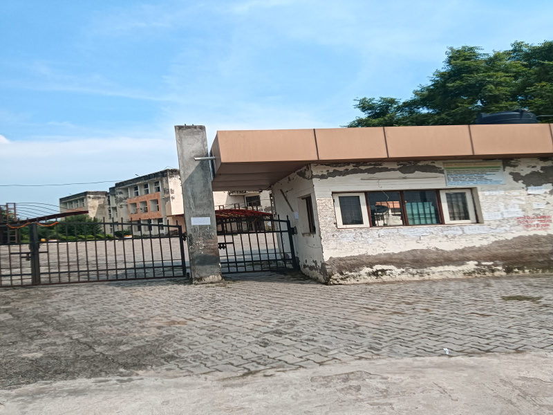  Residential Plot 1530 Sq.ft. for Sale in Gopal Nagar, Najafgarh, Delhi