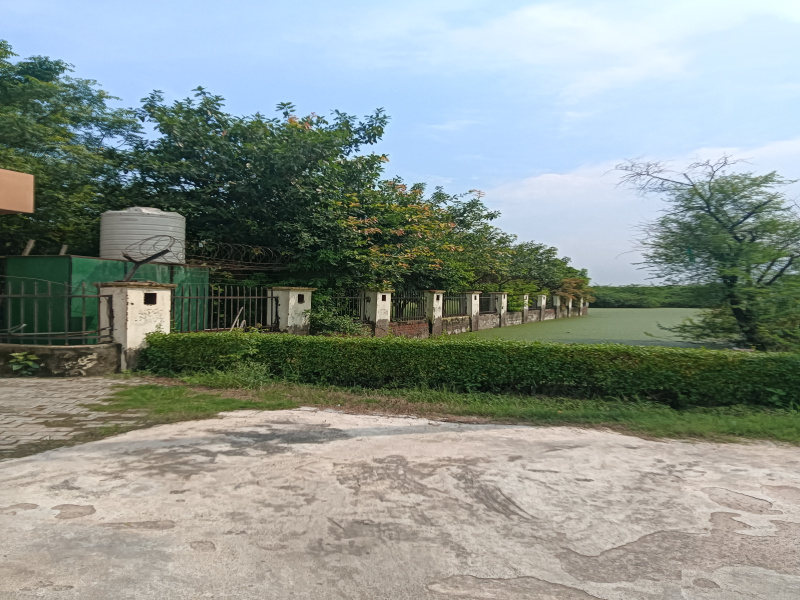  Residential Plot 1530 Sq.ft. for Sale in Gopal Nagar, Najafgarh, Delhi