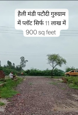  Residential Plot 200 Sq.ft. for Sale in Pataudi, Gurgaon