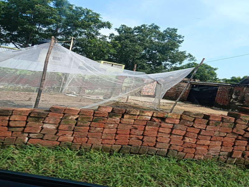  Residential Plot 900 Sq.ft. for Sale in Mandkola, Palwal