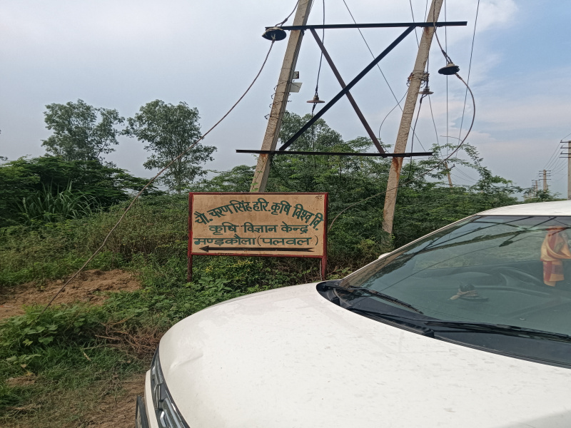  Residential Plot 900 Sq.ft. for Sale in Mandkola, Palwal