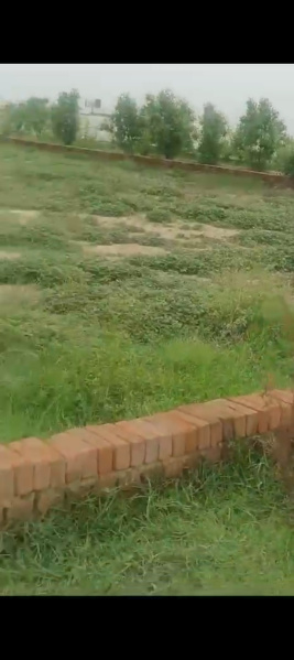  Residential Plot 200 Sq.ft. for Sale in Chaumuhan, Mathura
