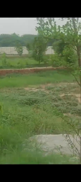  Residential Plot 200 Sq.ft. for Sale in Chaumuhan, Mathura