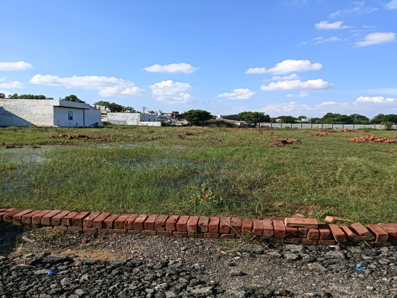  100 Sq. Yards Residential Plot for Sale in Najafgarh, Delhi