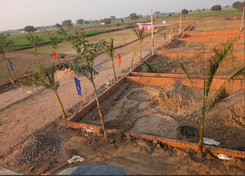  Residential Plot 65 Sq. Yards for Sale in Yamuna Expressway, Aligarh