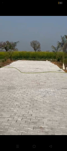  Residential Plot 100 Sq.ft. for Sale in Triveni, Jaipur
