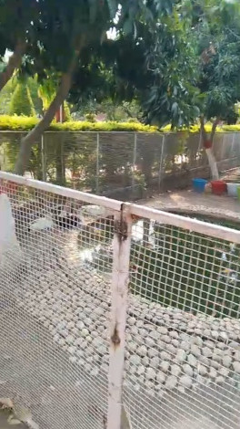  Residential Plot 100 Sq. Yards for Sale in Behat, Saharanpur