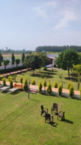  Residential Plot 250 Sq. Yards for Sale in Behat, Saharanpur