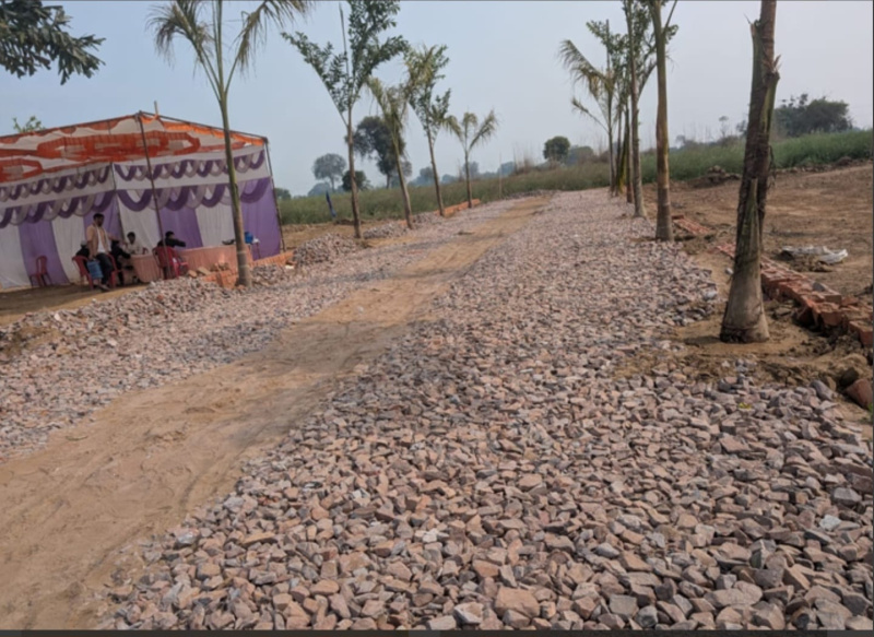  816 Sq. Yards Residential Plot for Sale in Saharanpur Road, Dehradun