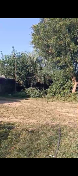 70 Bigha Agricultural/Farm Land for Sale in Virat Nagar, Alwar