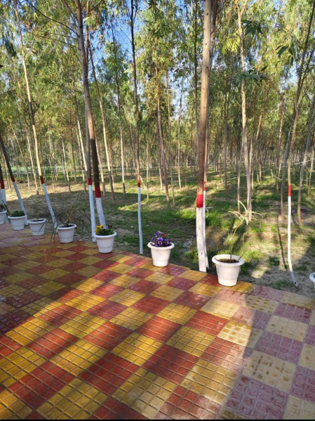  40 Sq. Yards Commercial Land for Sale in Khatu, Sikar