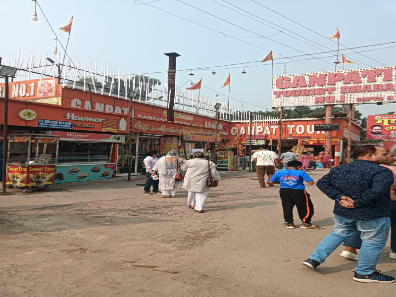  100 Sq. Yards Residential Plot for Sale in Surakhpur, Najafgarh, Delhi