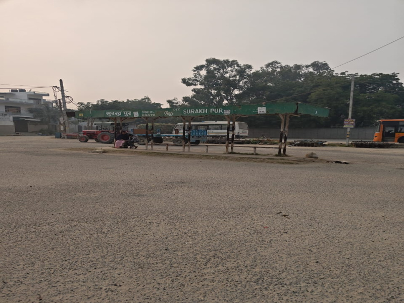  450 Sq.ft. Residential Plot for Sale in Surakhpur, Najafgarh, Delhi
