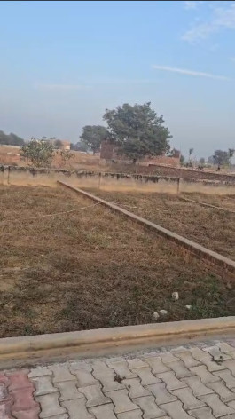  100 Sq. Yards Residential Plot for Sale in HSIIDC, Dharuhera