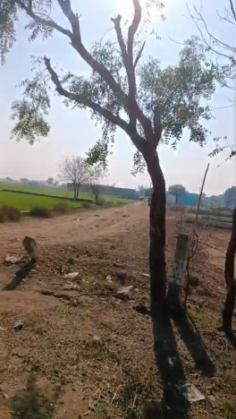  200 Sq. Yards Residential Plot for Sale in Tappal, Aligarh