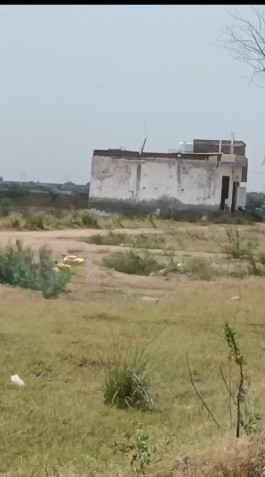 100 Sq. Yards Residential Plot for Sale in Kair, Najafgarh, Delhi
