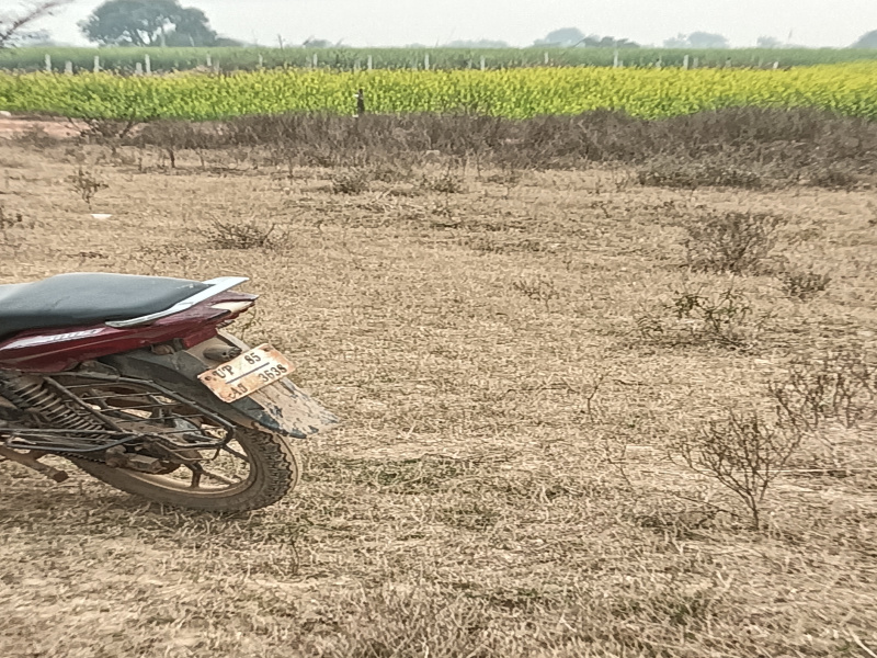  100 Sq. Yards Residential Plot for Sale in Naujhil, Mathura