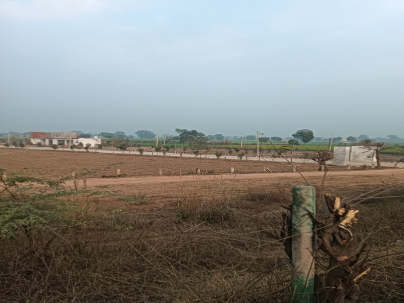  100 Sq. Yards Residential Plot for Sale in Naujhil, Mathura