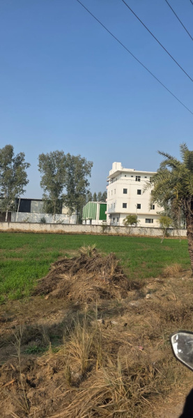  100 Sq. Yards Residential Plot for Sale in Sohna, Gurgaon