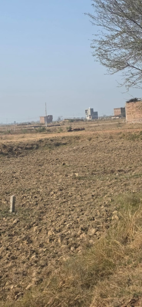  100 Sq. Yards Residential Plot for Sale in Sohna, Gurgaon