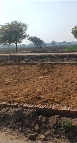  125 Sq. Yards Residential Plot for Sale in Gopal Nagar, Najafgarh, Delhi