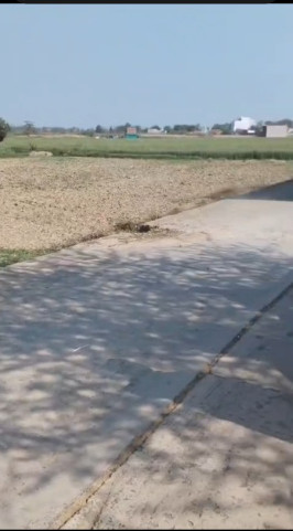  50 Sq. Yards Residential Plot for Sale in Basai Road, Gurgaon