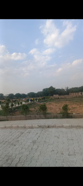  1000 Sq. Yards Residential Plot for Sale in Shahpura, Jaipur