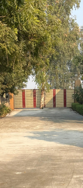  100 Sq.ft. Residential Plot for Sale in Jattari, Aligarh